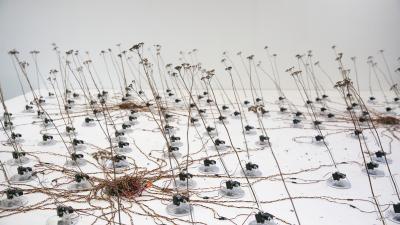 Art installation